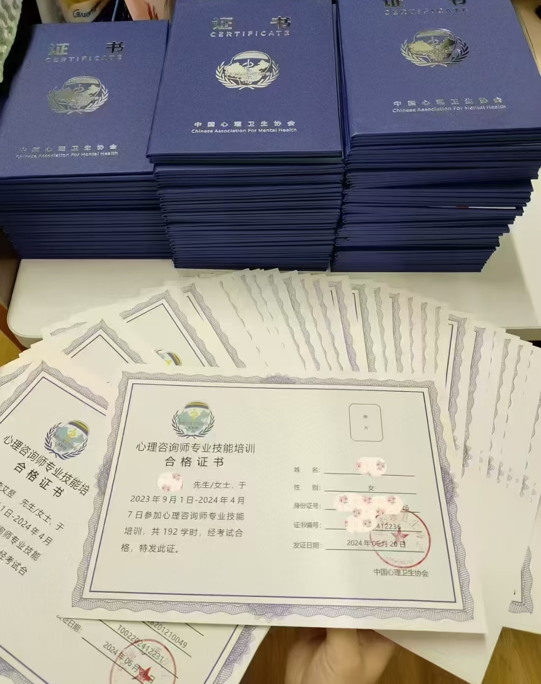 2025年中国心理卫生协会心理咨询师专业技能培训报名